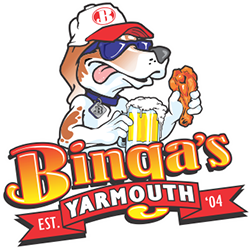 Bingas-Logo